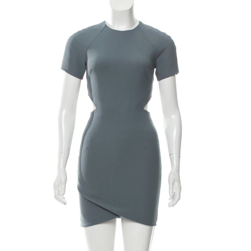 Elizabeth and James Crewneck Mini Dress